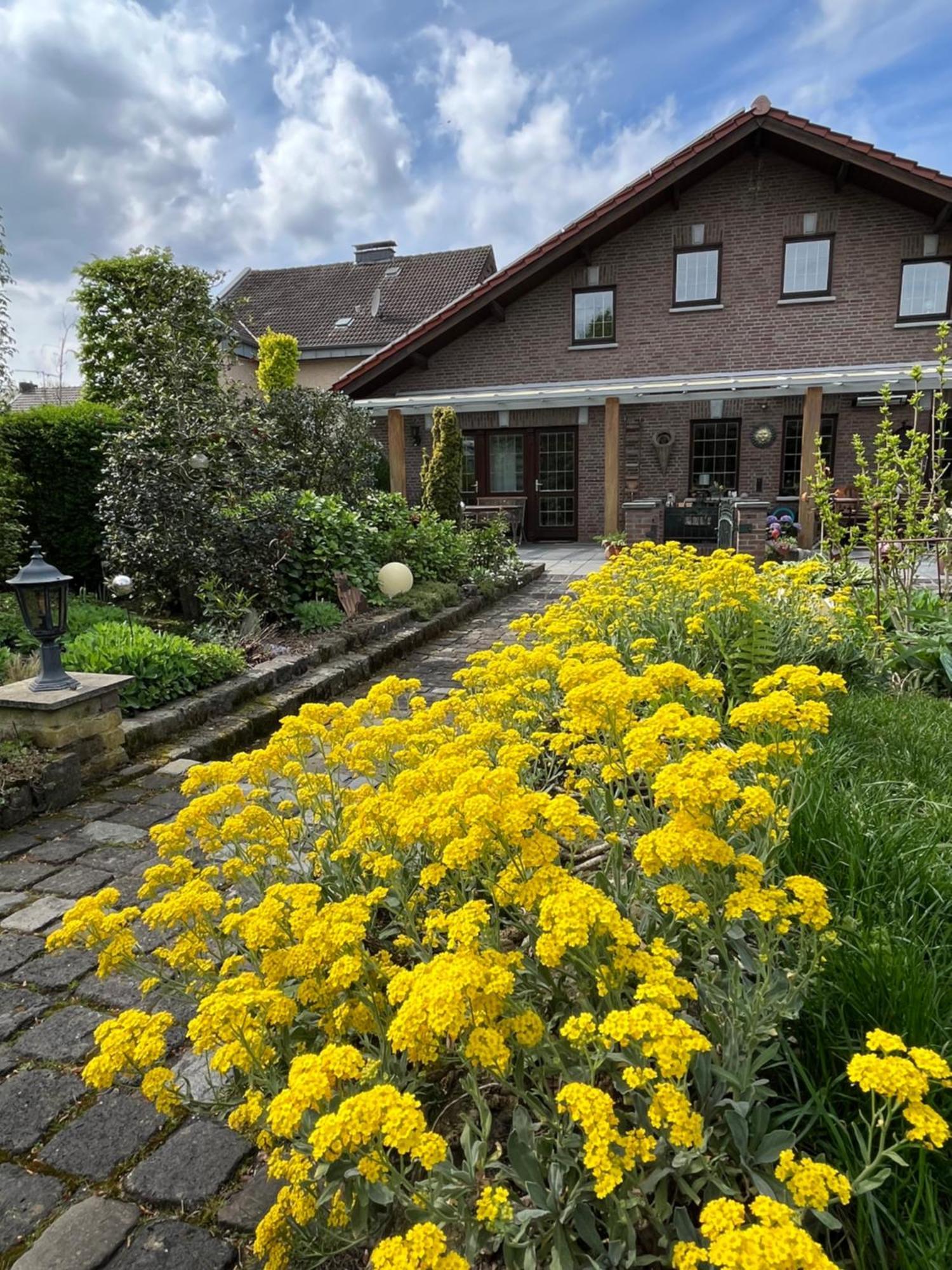 Ferienwohnung Jansen סלפקאנט מראה חיצוני תמונה