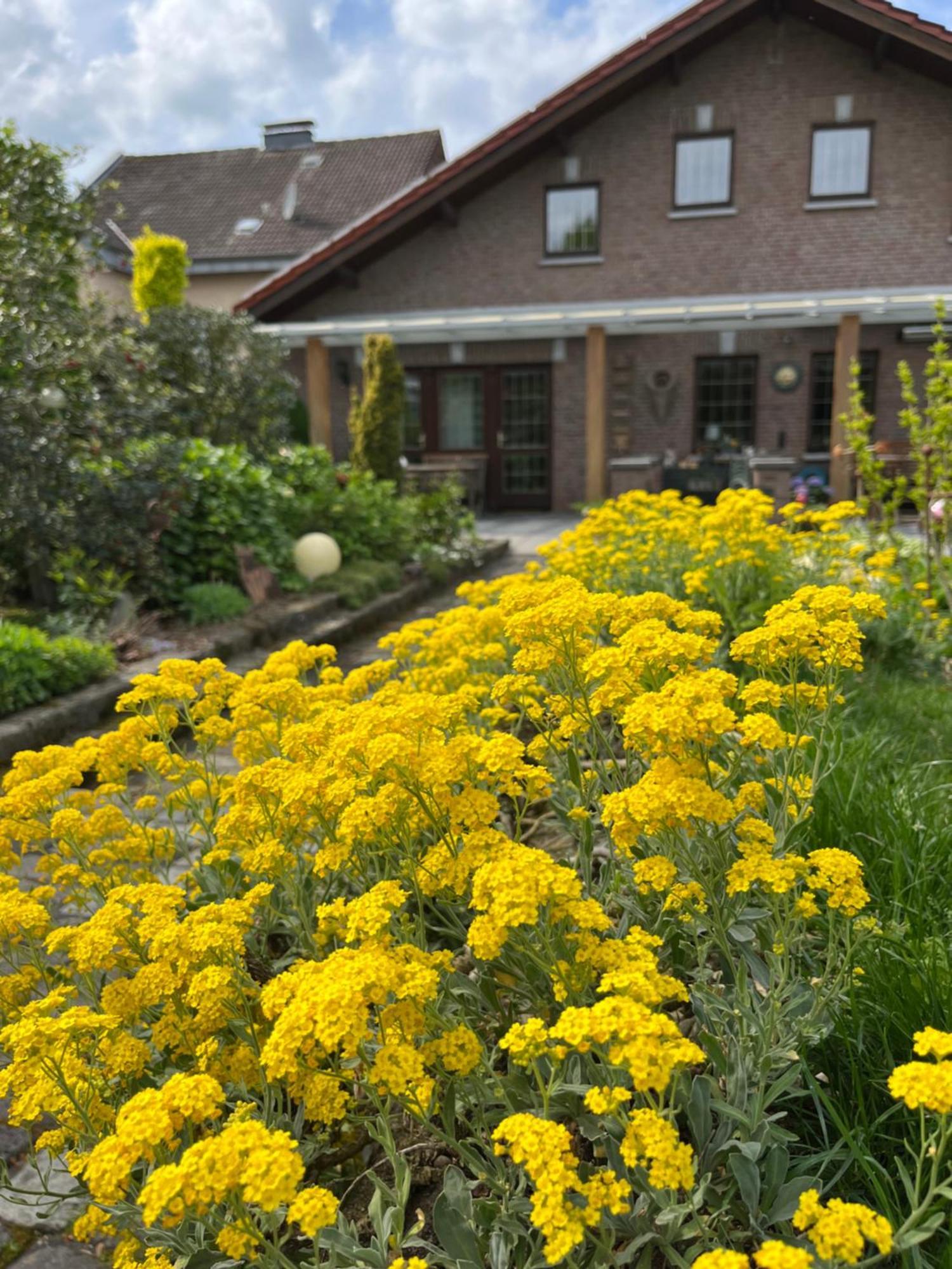Ferienwohnung Jansen סלפקאנט מראה חיצוני תמונה